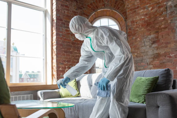 Sylvan Lake, MI Mold Removal Services Company