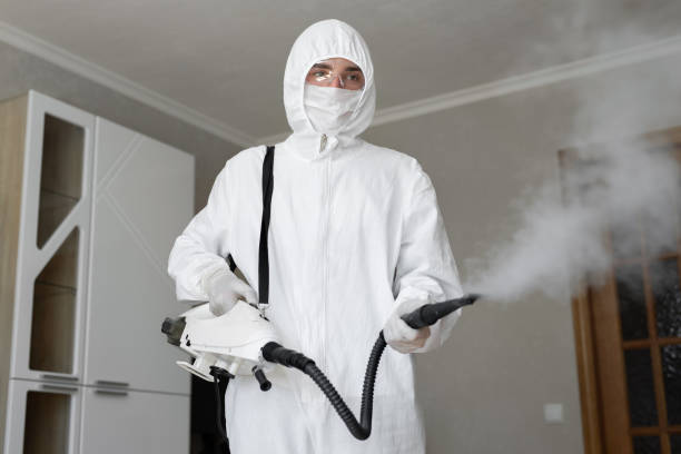 Mold Documentation for Insurance Claims in Sylvan Lake, MI